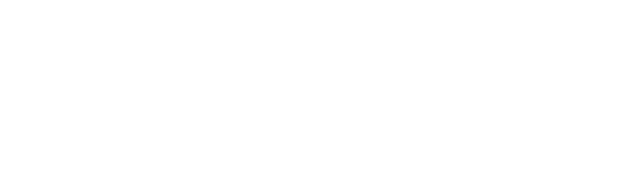 Nova Vita White Logo